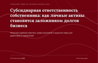 Субсидиарная ответственность собственника: как личные активы становятся заложником долгов бизнеса 2