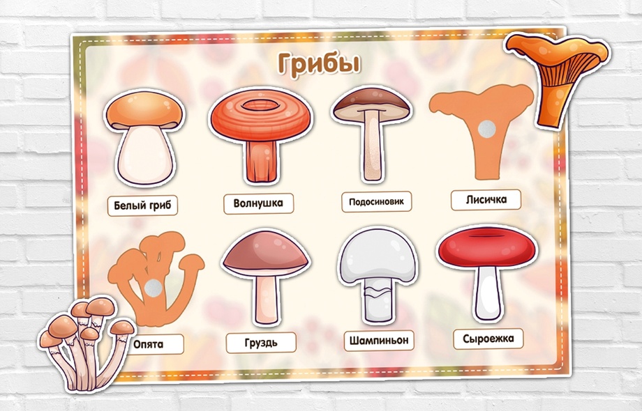 Игра на липучках "Грибы"