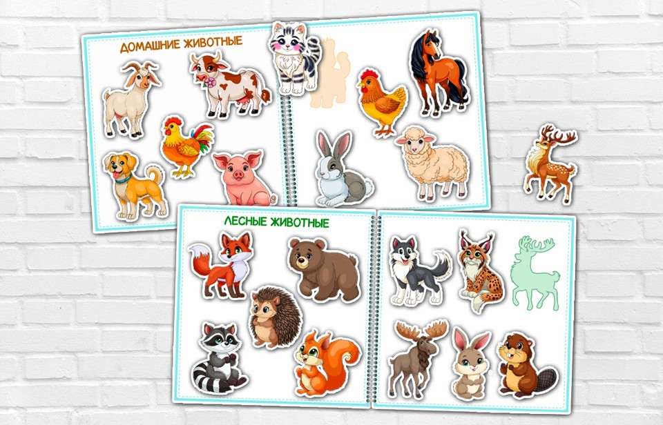 Мой первый альбом на липучках